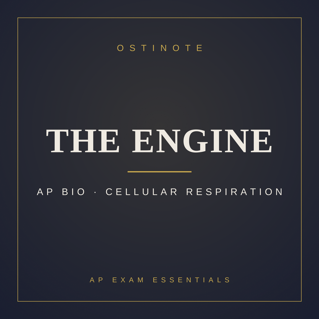 The Engine