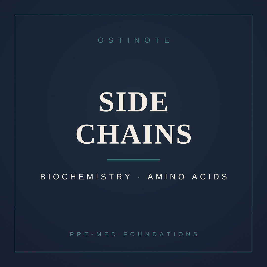 Side Chains