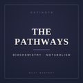 The Pathways