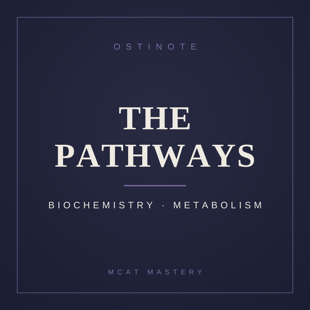 The Pathways
